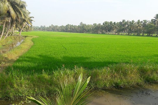 Tour image 7
