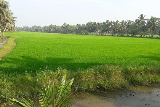 Tour image 4