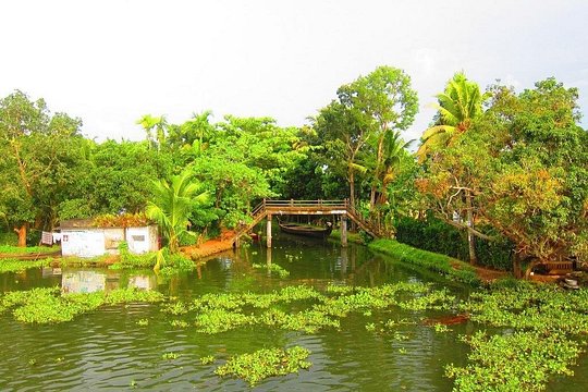 Tour image 5