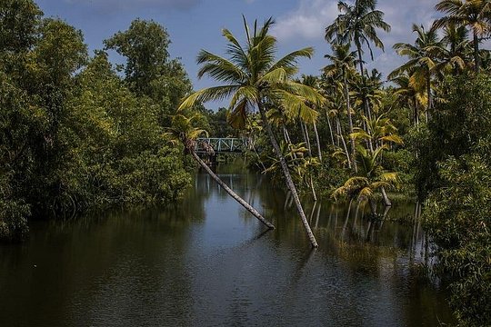 Tour image 5