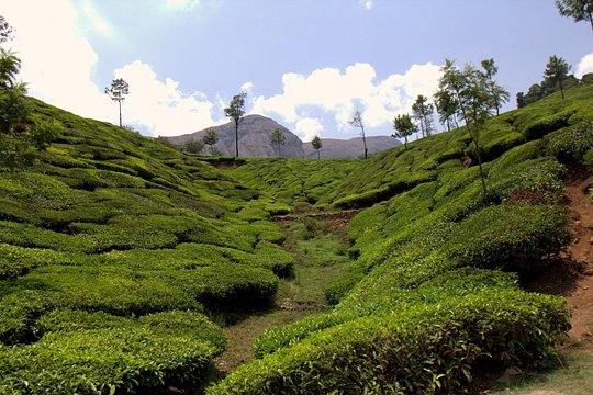 Tour image 5