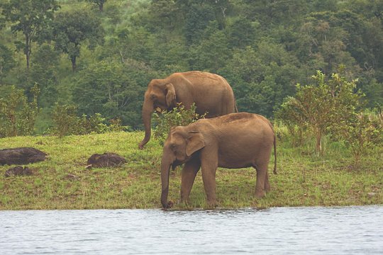 Tour image 1